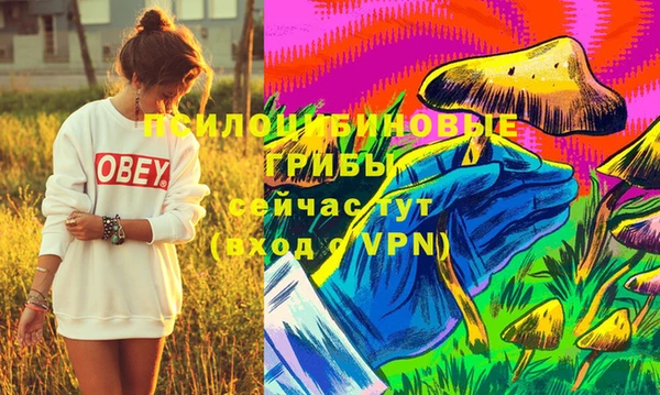 ПСИЛОЦИБИНОВЫЕ ГРИБЫ Алзамай