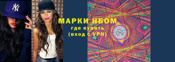 ПСИЛОЦИБИНОВЫЕ ГРИБЫ Алзамай