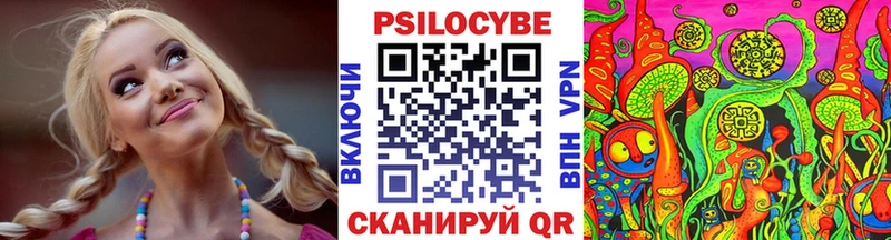 Псилоцибиновые грибы GOLDEN TEACHER дарнет шоп Жуковка